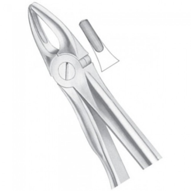 Fig 2 Upper Laterals And Canines Fig 2 Upper Laterals And Canines