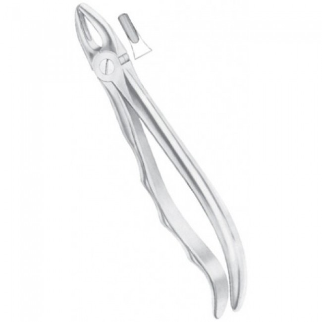 Fig 1 Upper Laterals And Canines Fig 1 Upper Laterals And Canines