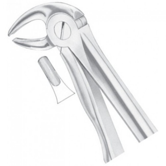 Fig 13 Lower Premolars Fig 13 Lower Premolars