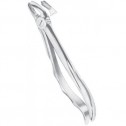 Fig 17 Upper Molars Right Fig 17 Upper Molars Right