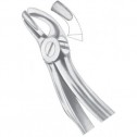Fig 19 Upper Third Molars Fig 19 Upper Third Molars