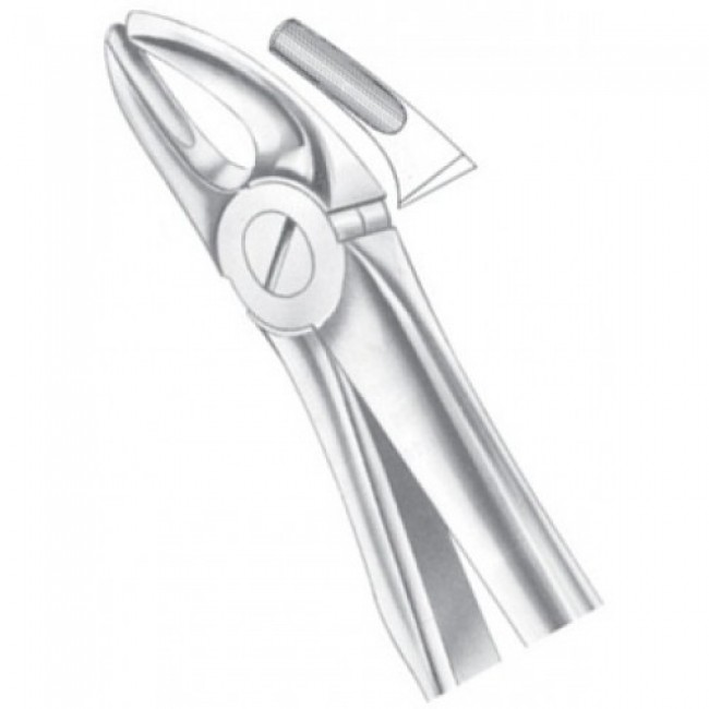 Fig 7 Upper Premolars Fig 7 Upper Premolars