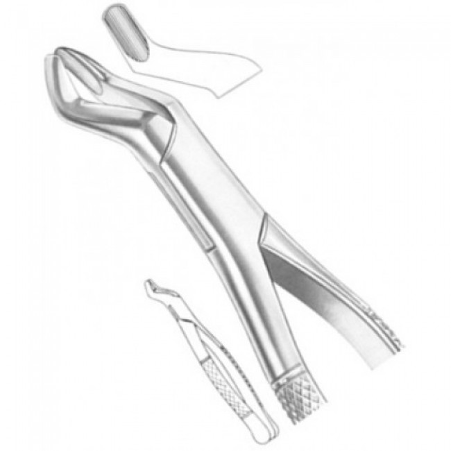 Fig # 10S Upper Molars Fig # 10S Upper Molars