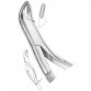 Fig # 14 Lower Incisors