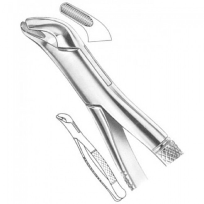 Fig # 4 Upper And Lower Premolars Fig # 4 Upper And Lower Premolars