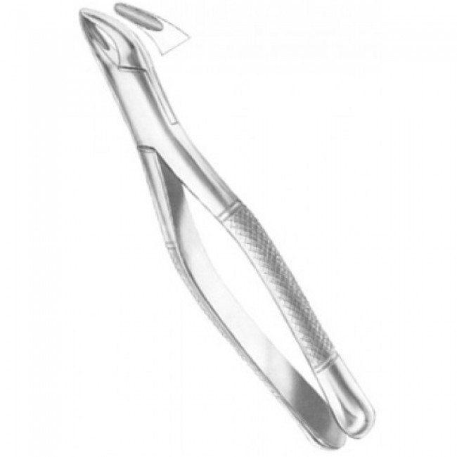 Fig # 7 Upper Roots Fig # 7 Upper Roots