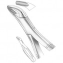 Fig # 8 Upper And Lower Third Molars Fig # 8 Upper And Lower Third Molars
