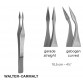 WALTER-CARMALT Splinter Forceps,10.5 cm