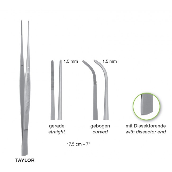 Taylor with Dissector end, Delicate Dissecting Forceps, 1.5 mm , 17.5 cm
