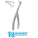 Martin Nasal Speculum Bent Sidewards , 12.5 cm, Blade Length 17 mm Martin Nasal Speculum Bent Sidewards , 12.5 cm, Blade Length 17 mm
